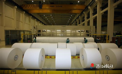 晨鳴紙業(yè) 匠心智造鑄就卓越，技術(shù)開發(fā)滿載榮譽(yù)